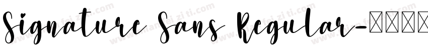 Signature Sans Regular字体转换